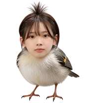 珉鸟